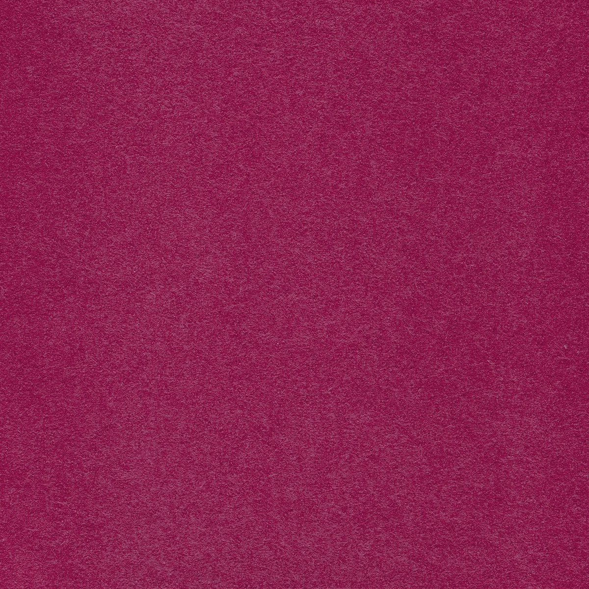 Walkloden Fuchsia