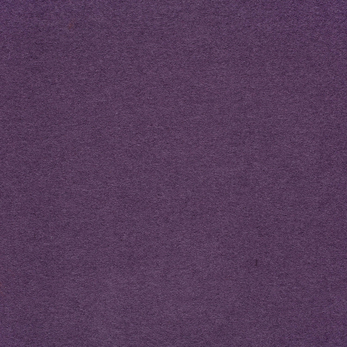 Walkloden Aubergine